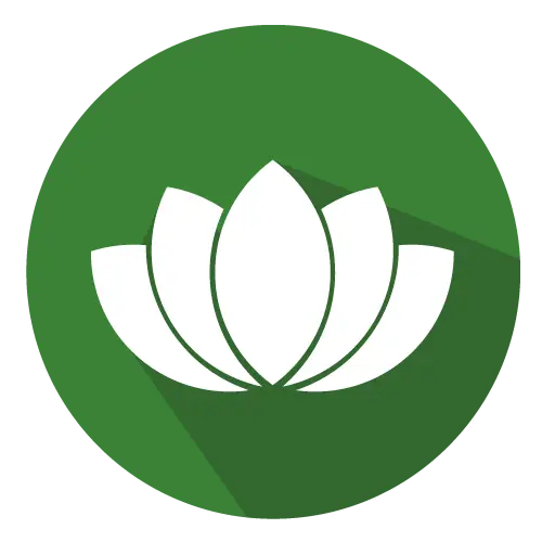 Spa Icon